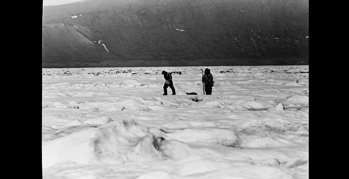 Photo by Robert Koweluk HUNTING NEAR SLEDGE ISLAND—Dewey Koweluk pulls a seal back to the boat. His uncle, Andrew Koweluk, accompanies him.