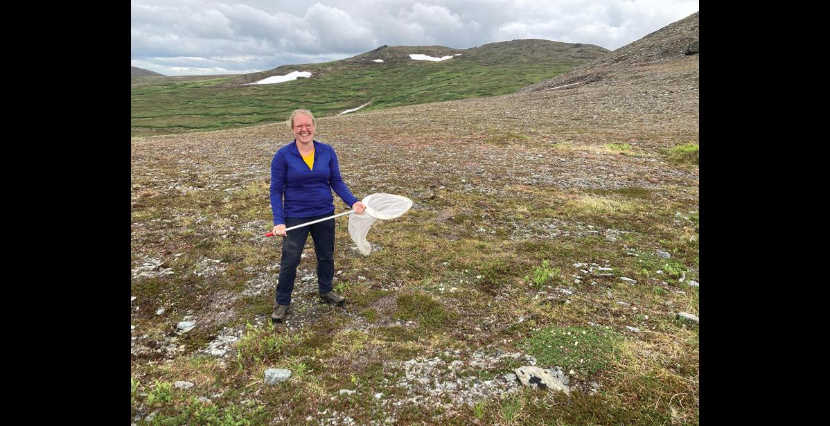Photos courtesy Hailey Scofield and Leah Valdes BEE RESEARCHER— Hailey Scofield, formerly of Nome, and her research partner Leah Valdes came to Nome to study bumblebees.