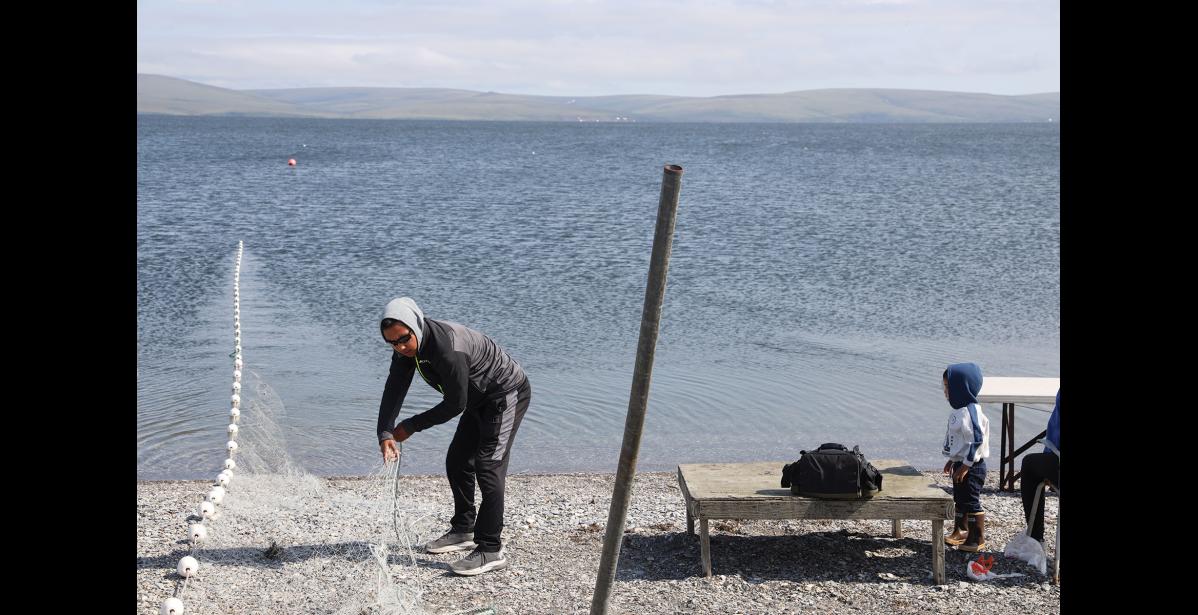 Photo by Colin Warren FISHING— Charles Okpealuk sets a net at Grantley Harbor on July 18, as his son Zayne looks on. ADF&G opened the Port Clarence district for subsistence fishing, after an unprecedented closure.