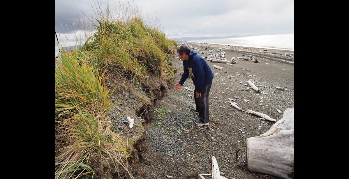 Photo by Stephen Lezak BERM REMNANTS— Lewis Nakarak shows one of the last remnants of the original berm, which was mostly destroyed by ex-typhoon Merbok.