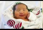 RosaLynn Roxie Reamer