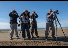 OPTICS – Four British birders armed to the teeth with high-powered optics enjoy the fauna along the Council Road Saturday. 
